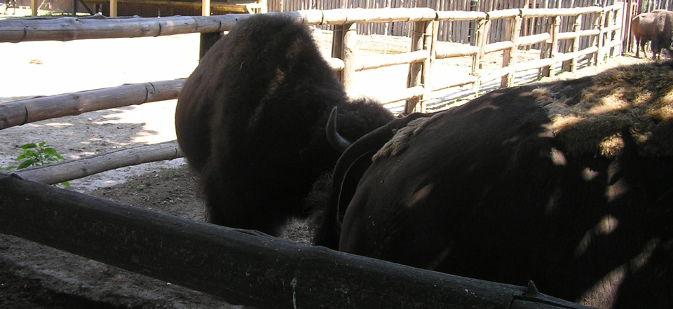 免费DDOS攻击测试工具